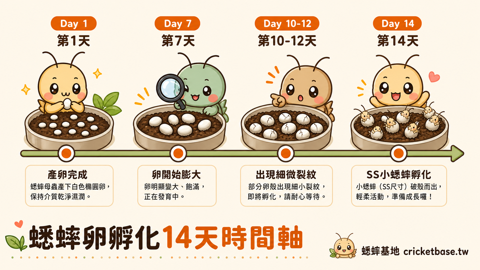適合選擇冷凍蟋蟀的四種飼主情境