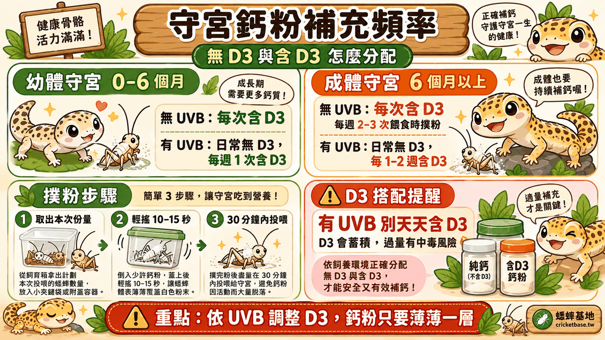 守宮鈣粉補充頻率:無D3與含D3的分配