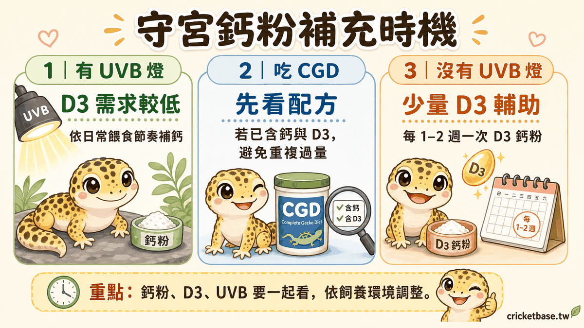 守宮缺鈣的早期警訊:尾巴和步態是指標