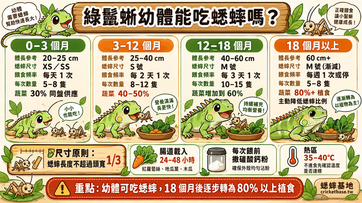 綠鬣蜥幼體能吃蟋蟀嗎?