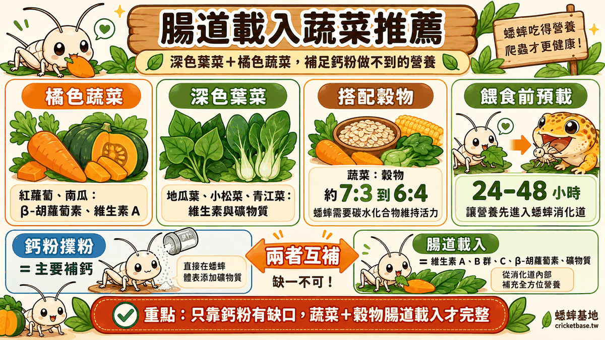 推薦蔬菜：紅蘿蔔、南瓜、地瓜葉、小松菜、青江菜等深色與橘色蔬菜