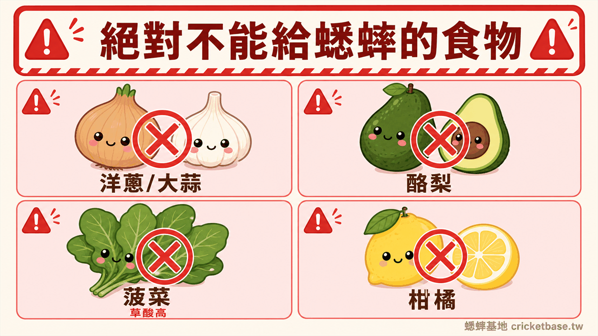 腸道載入禁止食材：菠菜草酸危險一覽