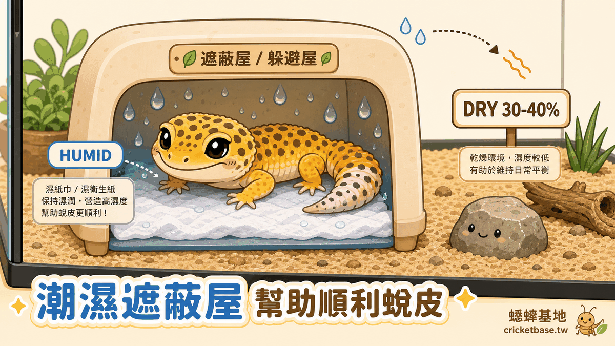 通風配置:箱蓋細孔紗網加側面通風孔形成對流,夏季可加小風扇