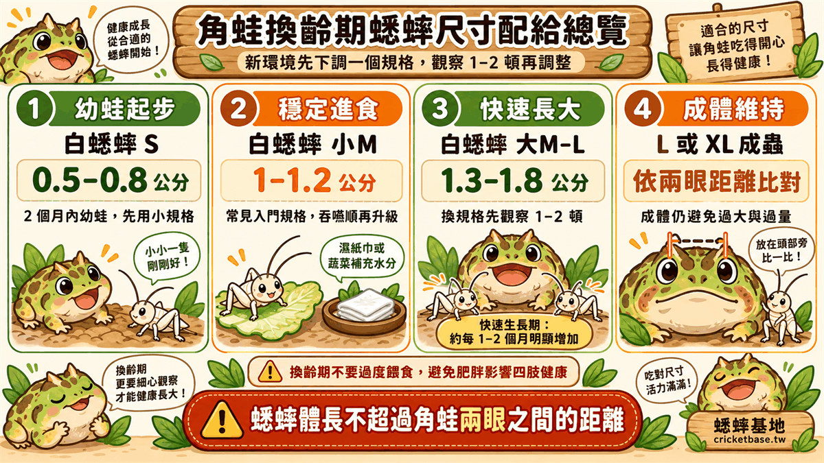 角蛙各成長階段蟋蟀尺寸配給總覽（換齡期回顧）