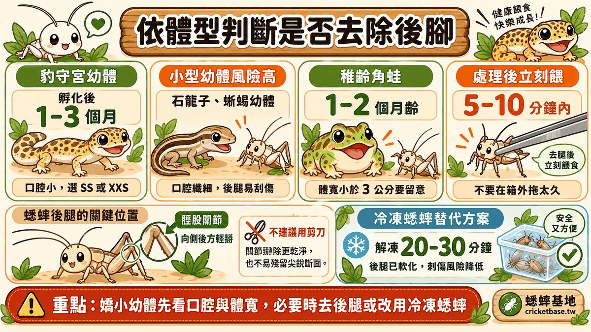 依體型判斷是否去除後腳