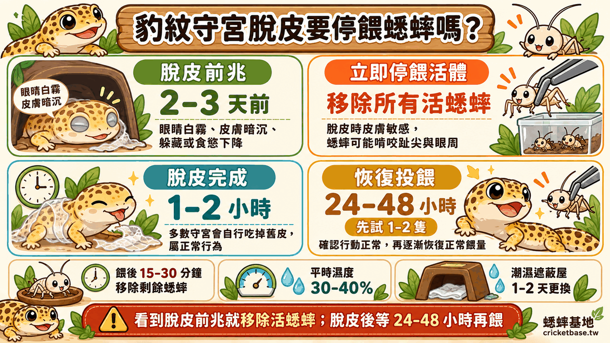 脫皮期照護重點：平時濕度 30–40%、保留潮濕遮蔽屋並每 1–2 天更換濕餐巾紙