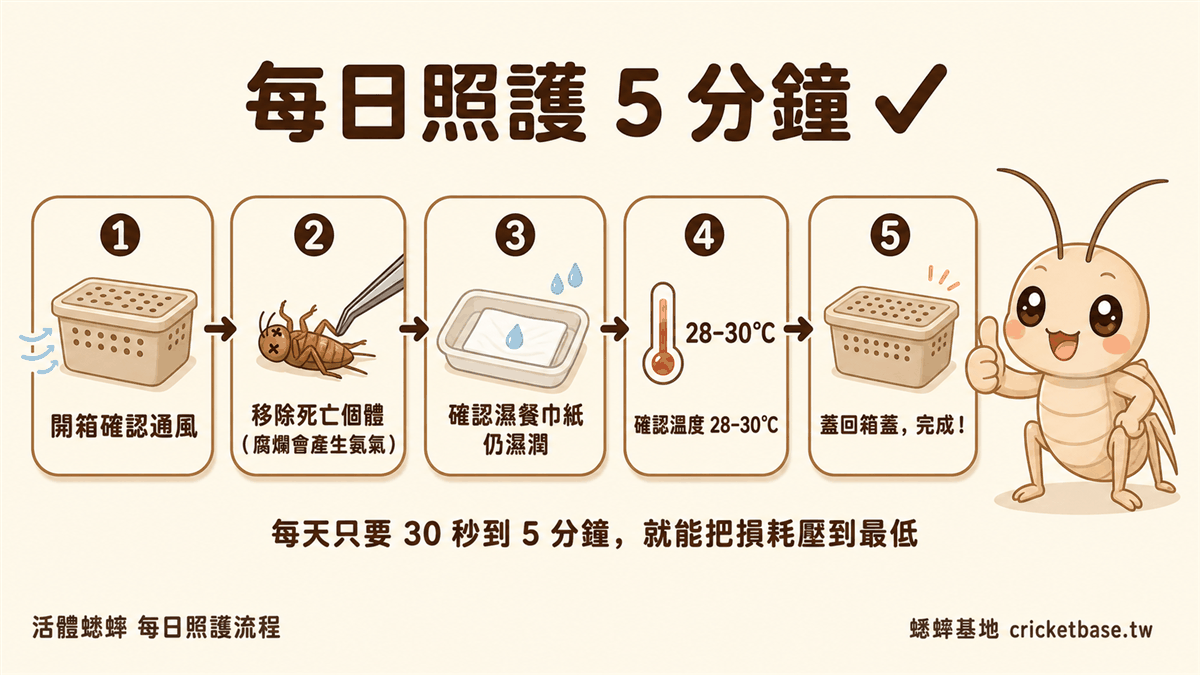 每日照護 5 分鐘流程