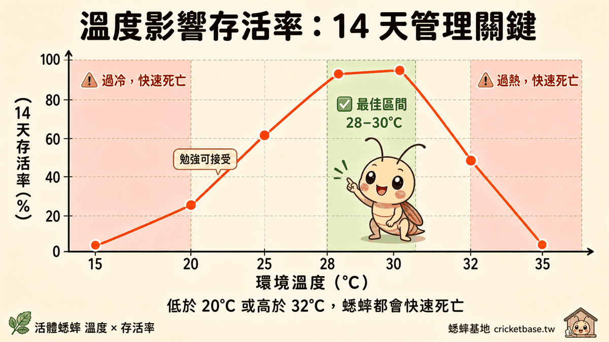溫度影響存活率:14 天管理關鍵