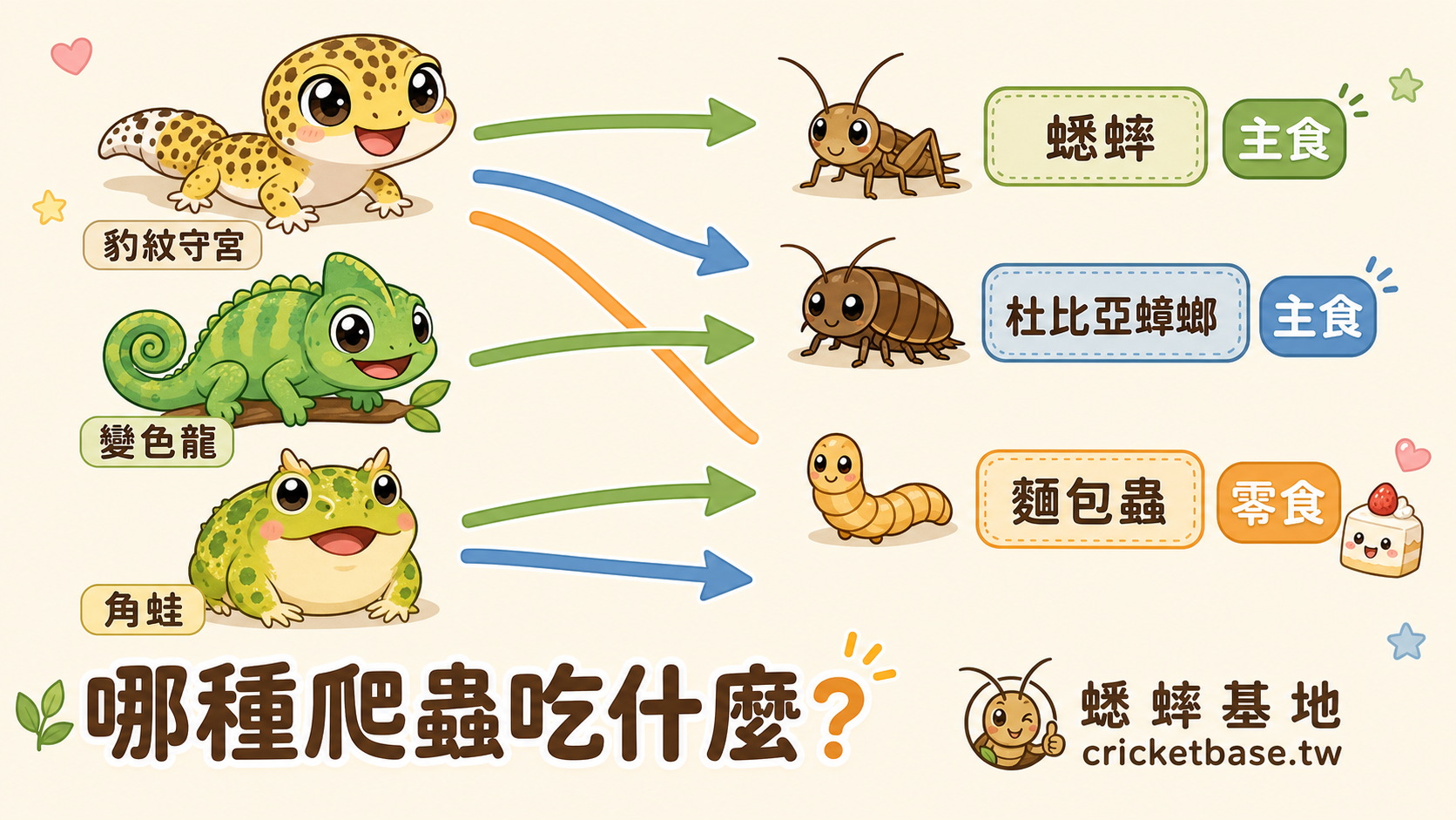 白蟋蟀和黑蟋蟀跳動活潑，是最容易誘發爬寵捕食慾的萬用主食；冷凍蟋蟀則適合已習慣夾子餵食的成體或需要囤貨備用的飼主