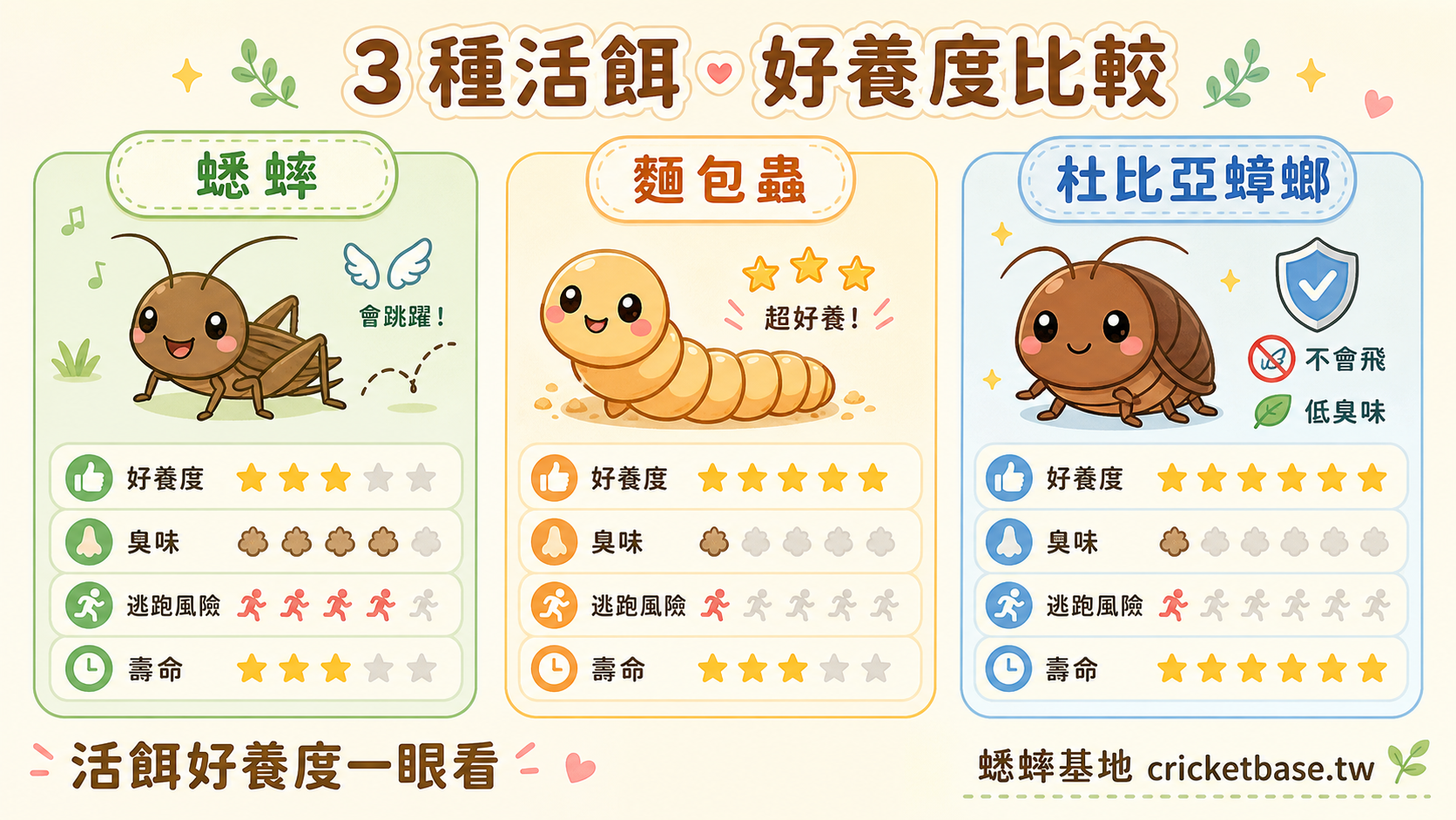 選對活餌種類，守宮和蟾蜍的狀態就是不一樣：這張圖幫你在看爬寵別建議表前，先直觀感受不同活餌搭配對爬寵日常飲食的實際影響