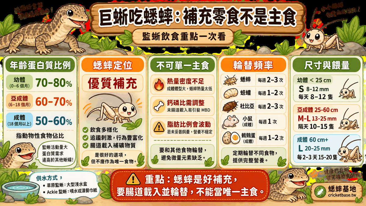 巨蜥的蟋蟀角色：補充零食不是主食