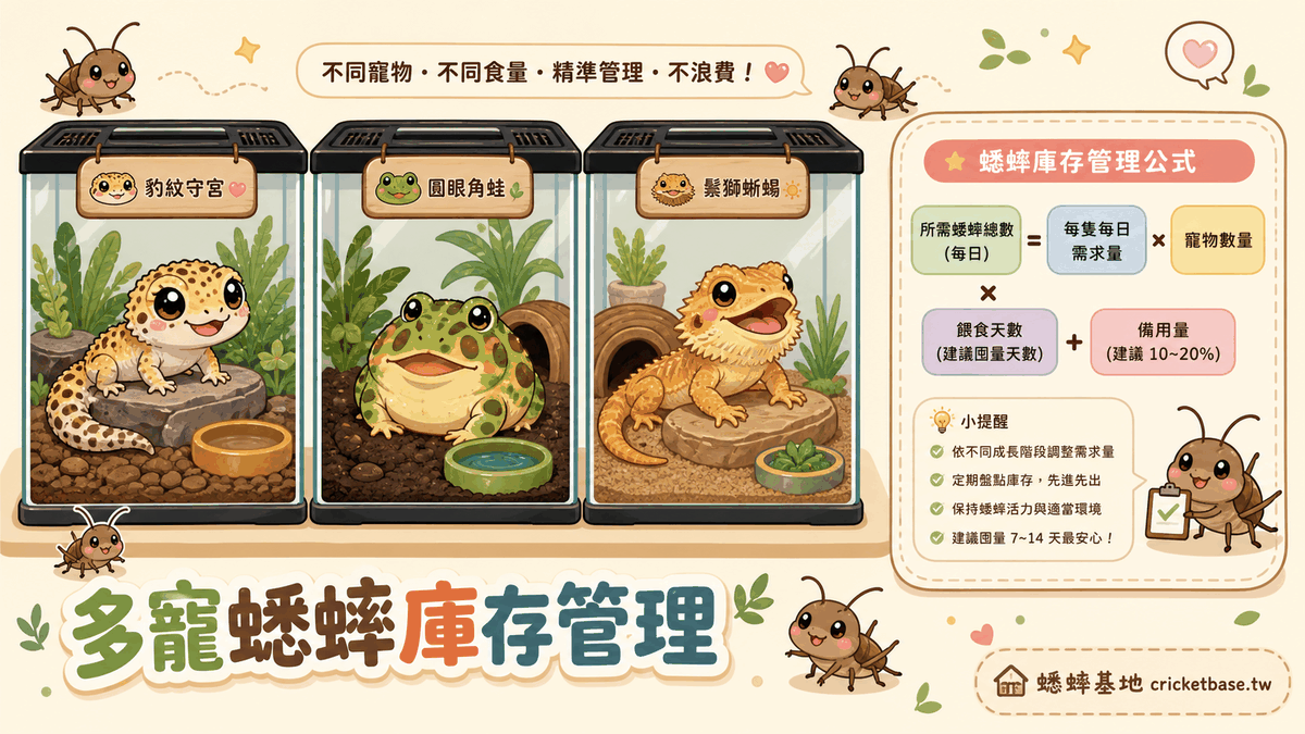 同時飼養多隻爬蟲的蟋蟀庫存管理：先算出各物種每週消耗量，再套入公式計算採購目標，加上緩衝量避免斷貨