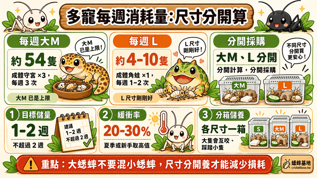 不同尺寸蟋蟀必須分開飼養：S、M、L各用獨立容器，大蟋蟀會欺凌小蟋蟀造成不成比例的損耗