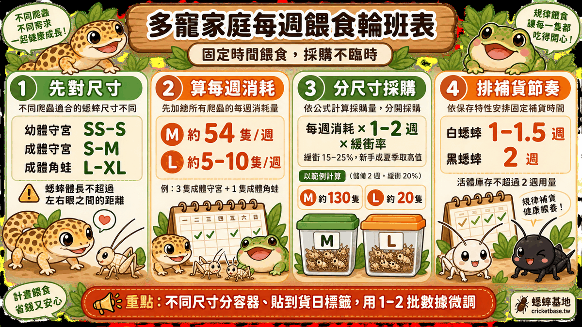 多寵家庭的每週餵食輪班表：依照不同爬蟲的進食頻率安排固定時間，讓餵食成為規律習慣而非臨時任務