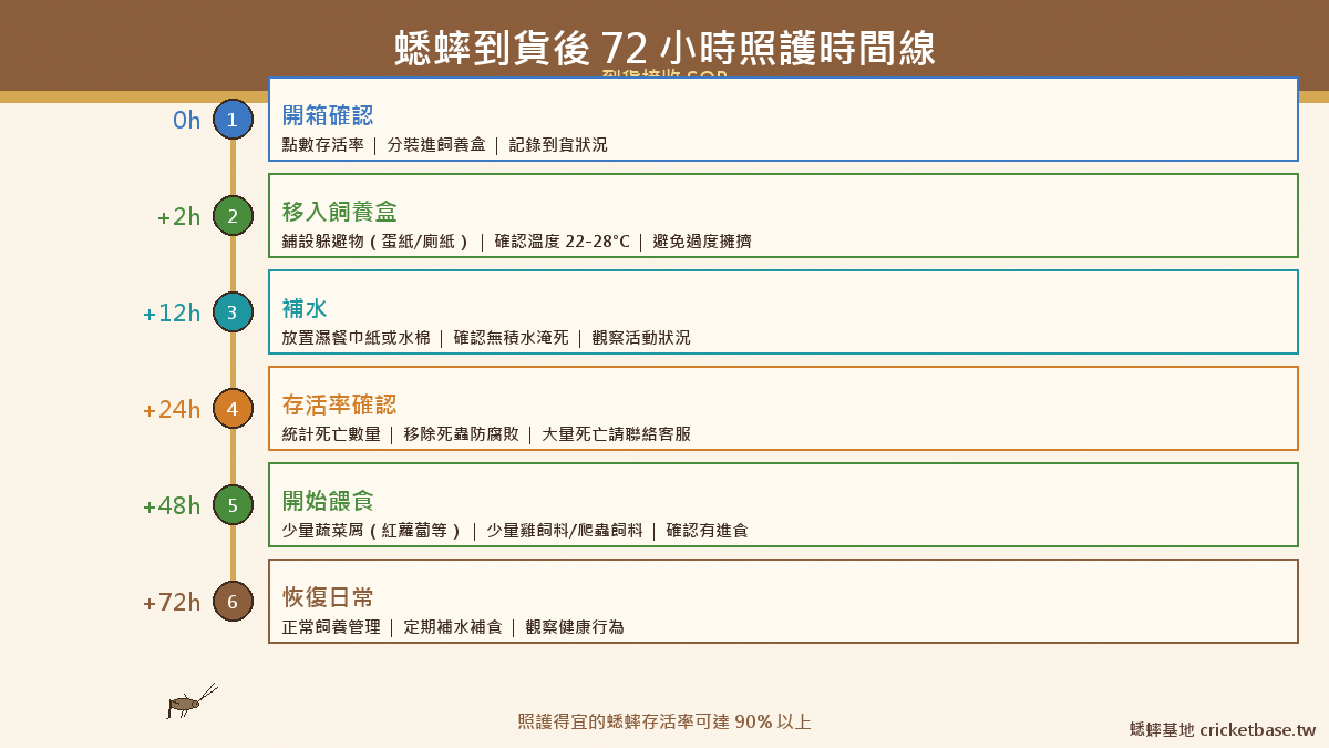 蟋蟀到貨後72小時照護時間線