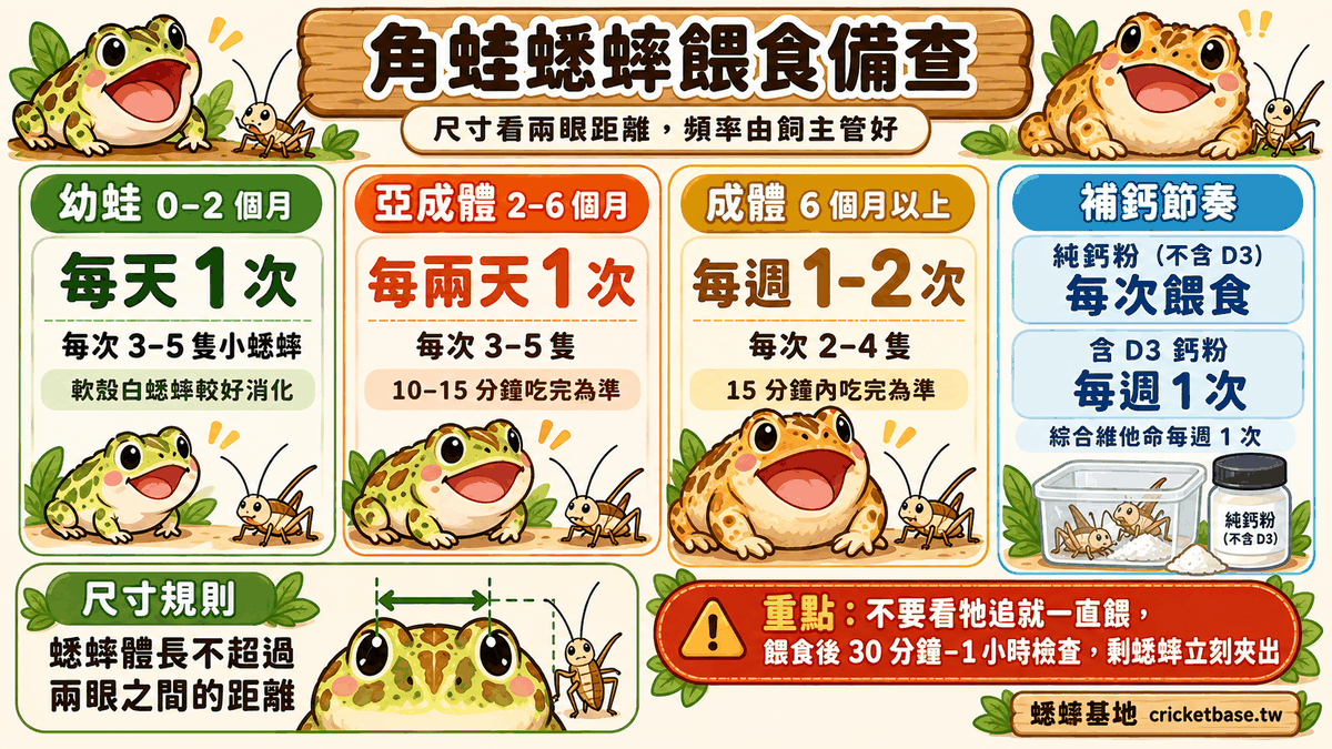 角蛙蟋蟀餵食備查：幼蛙、亞成體、成體的尺寸與頻率，加上純鈣粉每次撲、含 D3 鈣粉每週 1 次的補鈣規則