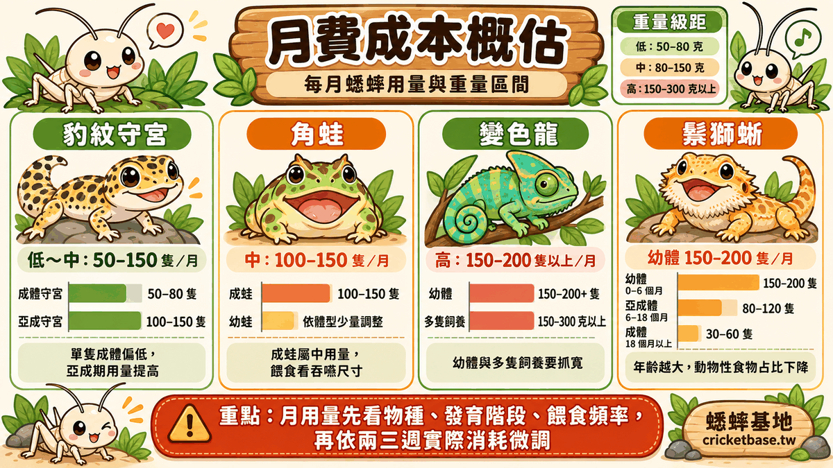 豹紋守宮、角蛙、變色龍、鬃獅蜥每月蟋蟀用量長條圖，幼體與成體區間對照