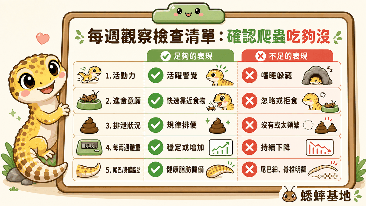每週觀察檢查清單：確認爬蟲吃夠沒