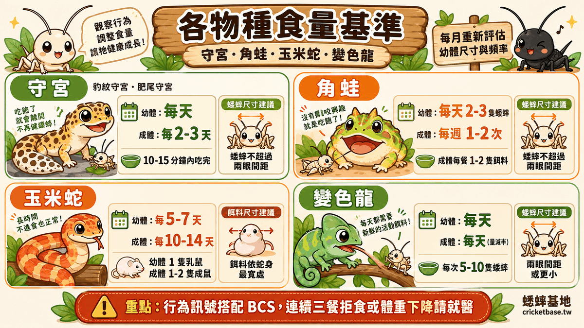 各物種食量基準：守宮、角蛙、玉米蛇、變色龍的投餵頻率與尺寸參考