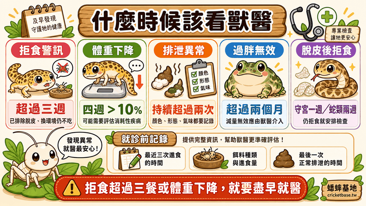總結：行為訊號看單餐、體態評估看長期，拒食超過三餐或體重下降就要就醫