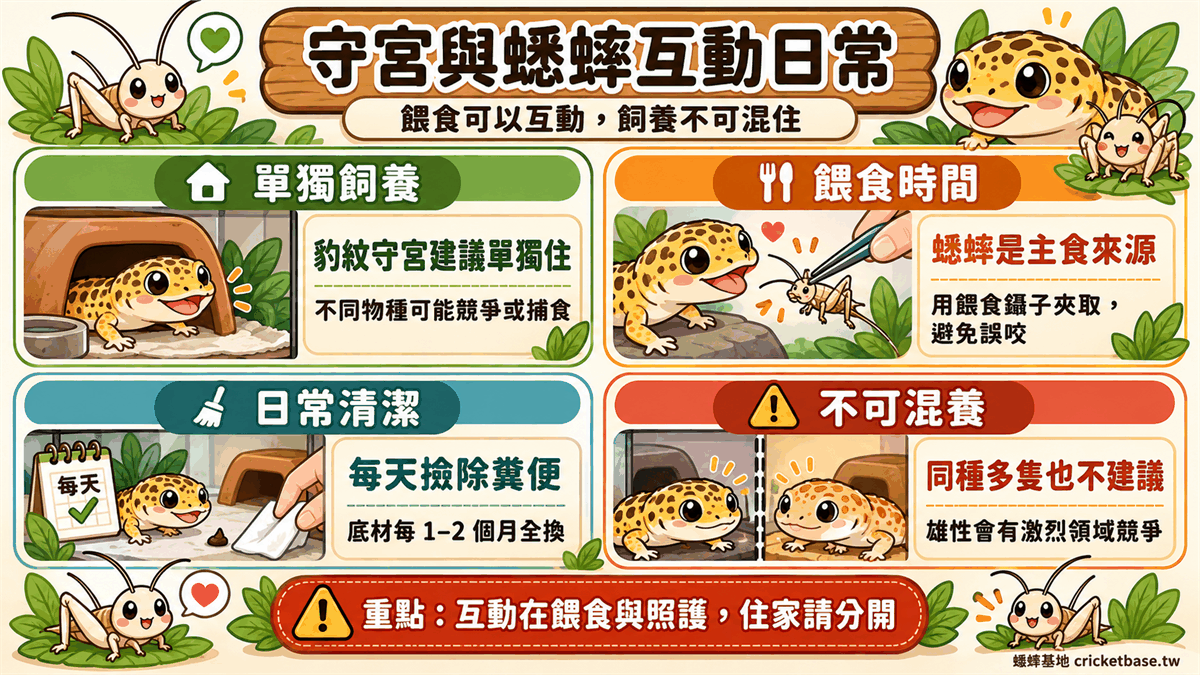 新手與豹紋守宮、蟋蟀的互動示意，幫你想像養第一隻爬蟲的日常