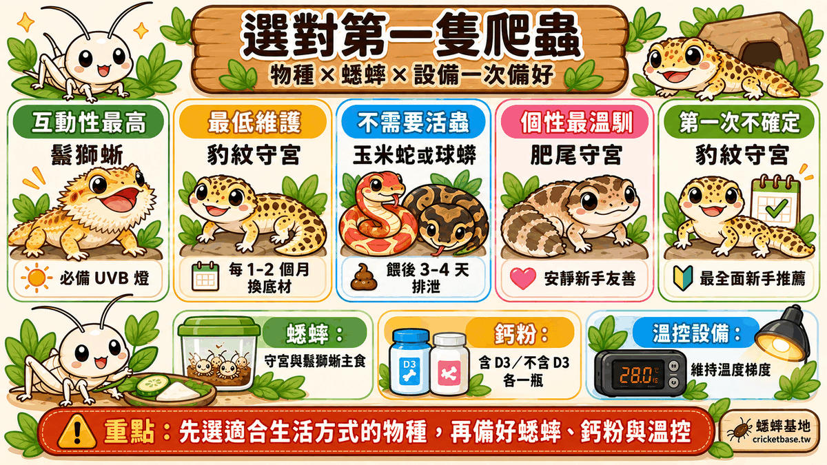 選好物種、備好蟋蟀與設備，就能迎接第一隻爬蟲回家