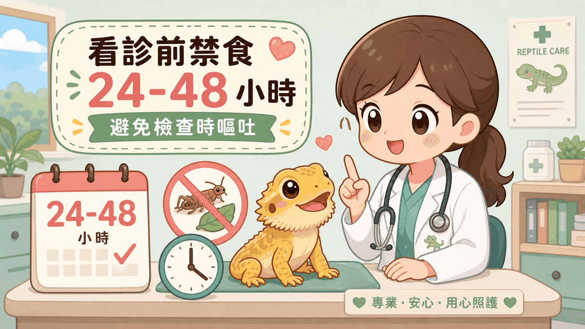 就診前後投餵原則：就診前禁食、術後供水優先、第一週小尺寸半量