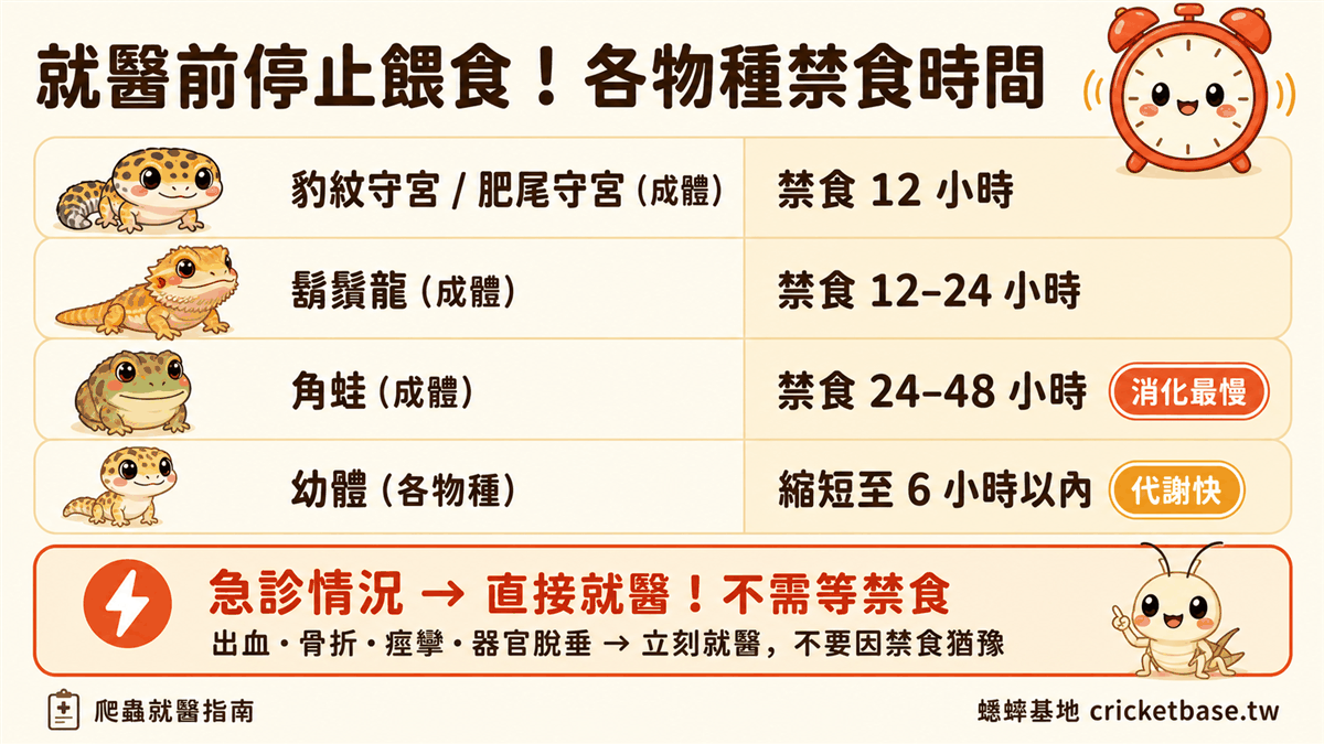 就醫前各物種禁食時間提醒