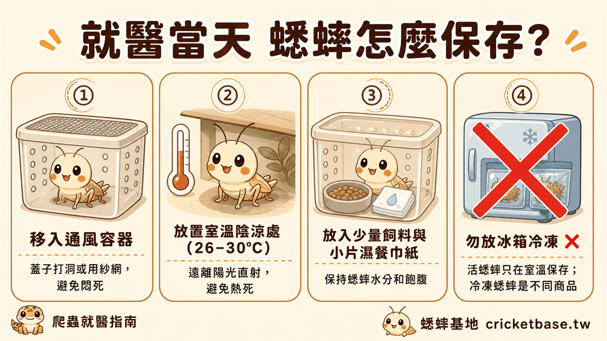就醫當天家裡蟋蟀的保存方式：通風容器、室溫陰涼處、少量飼料與濕餐巾紙，不要放冰箱