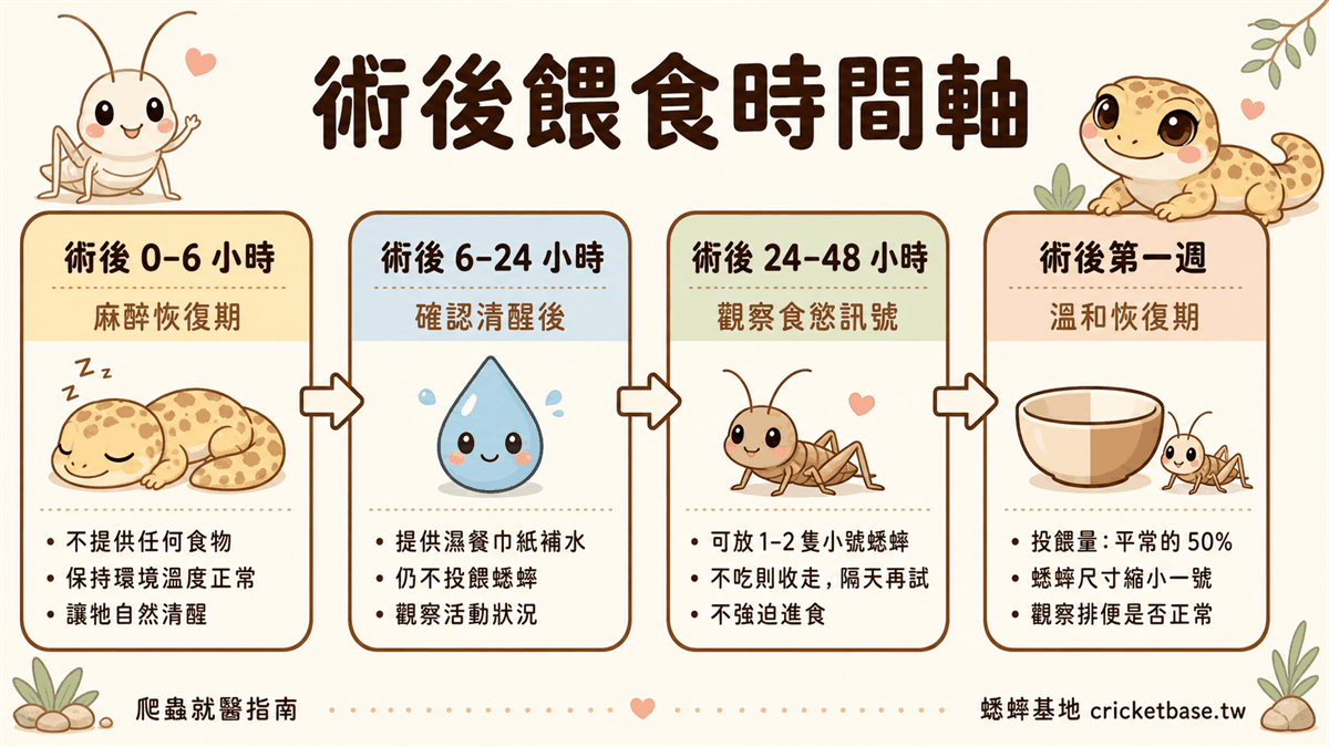 術後餵食減量時間軸