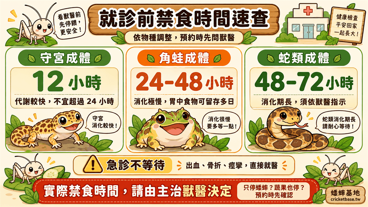 各物種就診前建議禁食時間：守宮 12 小時、角蛙 24–48 小時、蛇類 48–72 小時