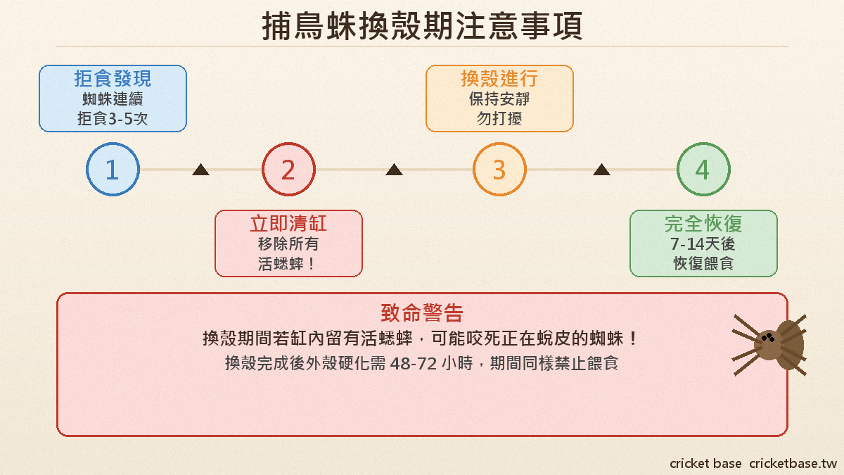 捕鳥蛛換殼期注意事項：換殼期禁止餵食，發現拒食立刻取出所有蟋蟀，換殼後7-14天再恢復餵食