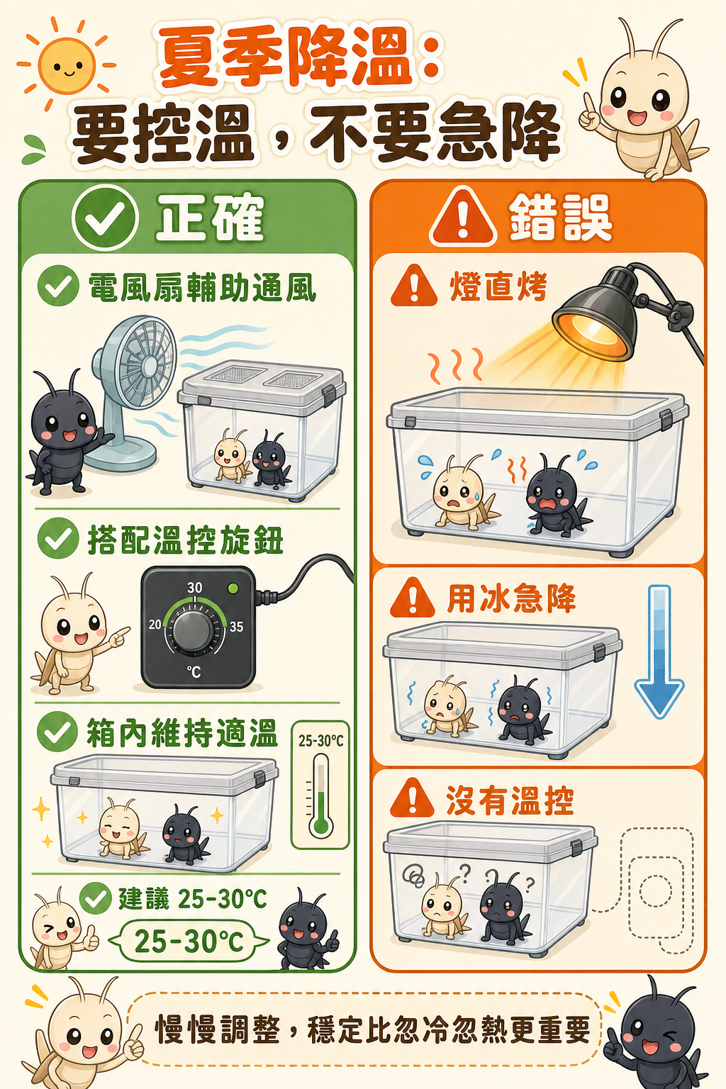 電風扇輔助通風時，搭配溫控旋鈕才能讓箱內維持適溫；不加控制地用燈直烤或用冰急降，都是錯誤的夏季降溫方式
