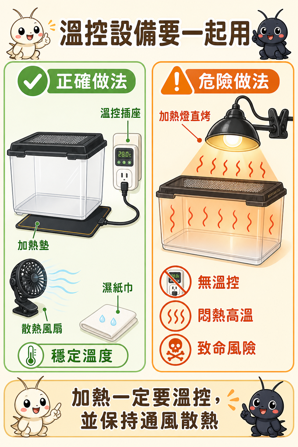 加熱墊必須搭配溫控插座和散熱風扇一起用，單靠加熱燈直接悶烤飼育箱是危險做法，無溫控的加熱環境會讓蟋蟀暴露在致命高溫下