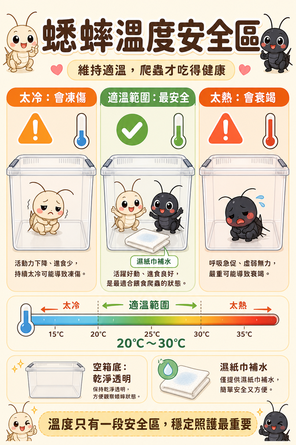 蟋蟀的溫度安全區只有一段:太冷會凍,太熱會衰竭,維持在適溫範圍才能讓爬蟲寵物也吃得健康