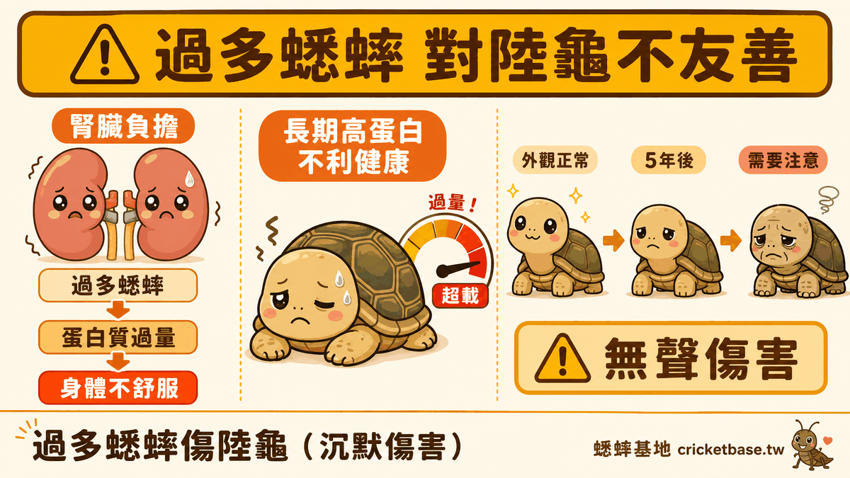 過多蟋蟀傷陸龜(沉默傷害)