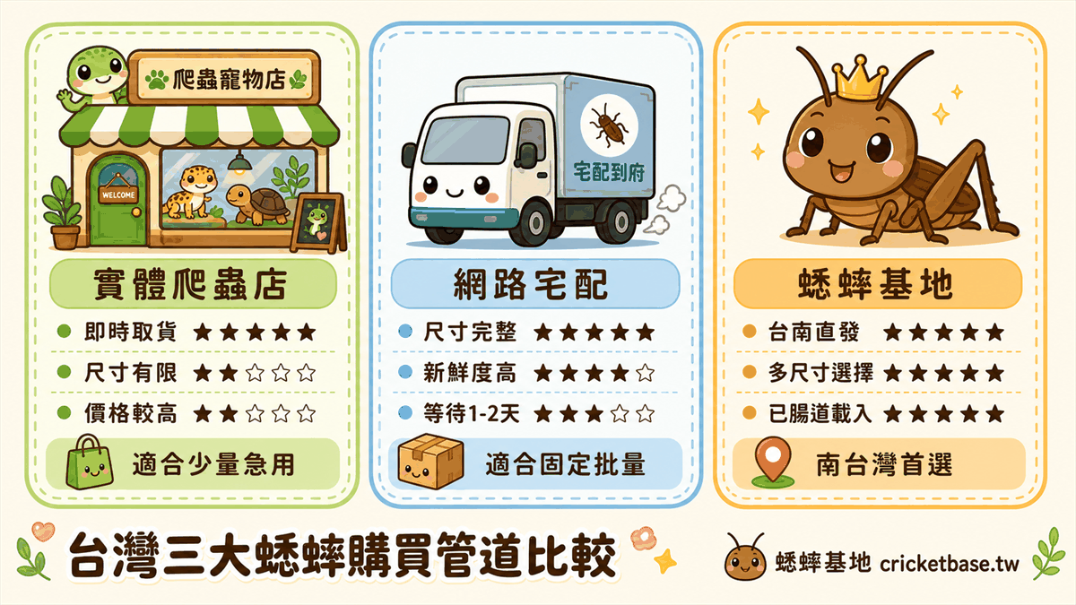 台灣三大蟋蟀購買管道比較