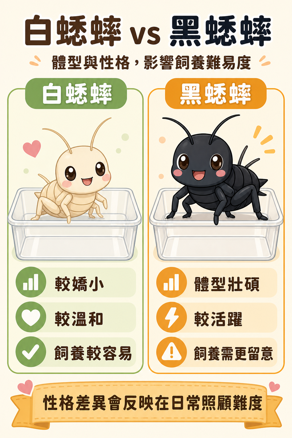 白蟋蟀較嬌小溫和、黑蟋蟀體型壯碩，兩者的性格差異也直接反映在日常飼養的難易度上。
