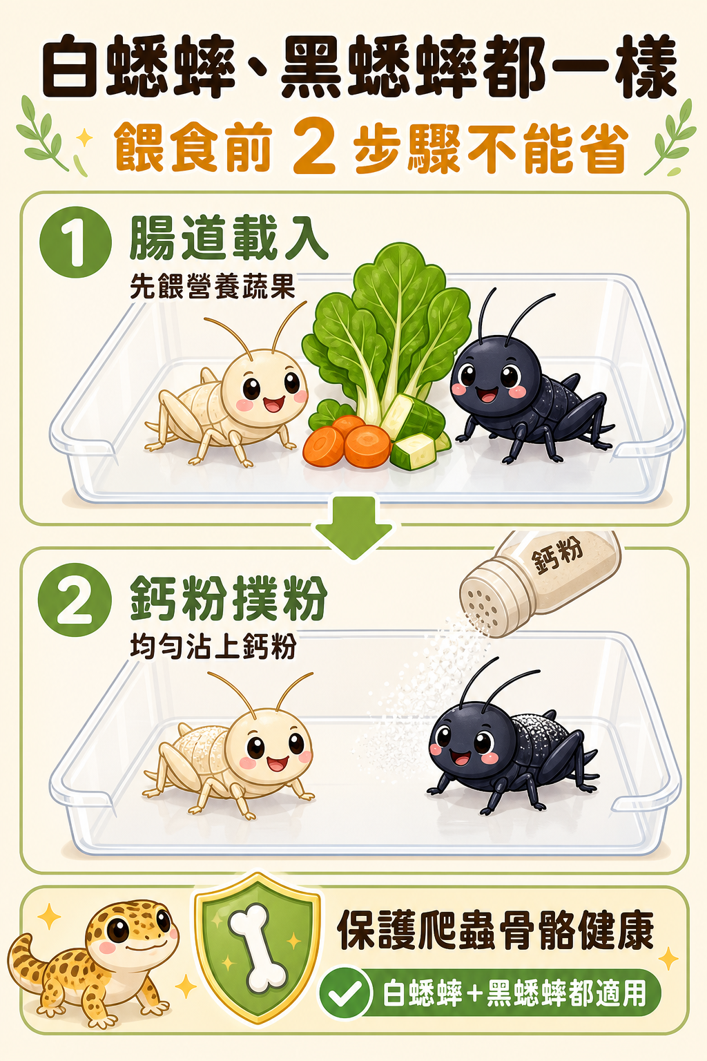 不管是白蟋蟀還是黑蟋蟀，餵食前的腸道載入和鈣粉撲粉都不能省，這是保護爬蟲骨骼健康最基本的步驟。