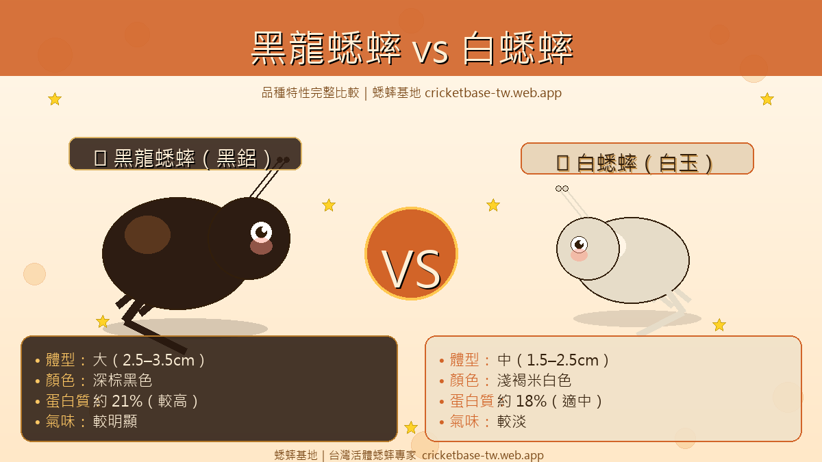 黑龍蟋蟀完整飼養與餵食指南：與黑蟋蟀、白蟋蟀有什麼不同？