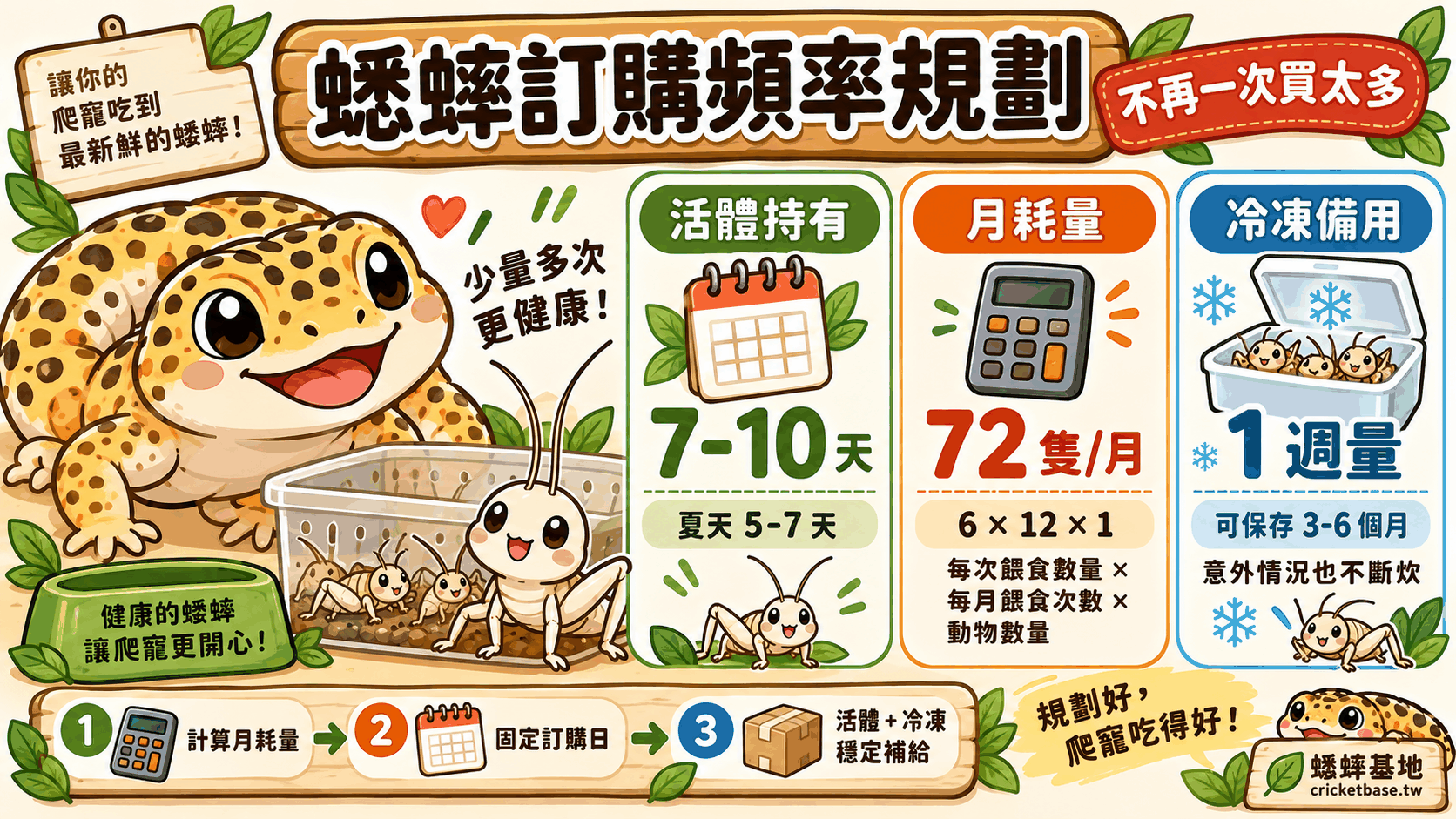 爬寵飼主蟋蟀訂購頻率規劃:不再一次買太多的完整指南