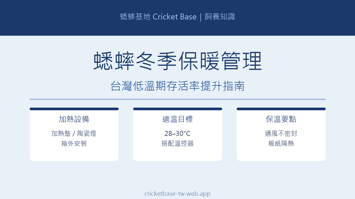 蟋蟀冬季保暖管理:台灣低溫期存活率提升完整指南