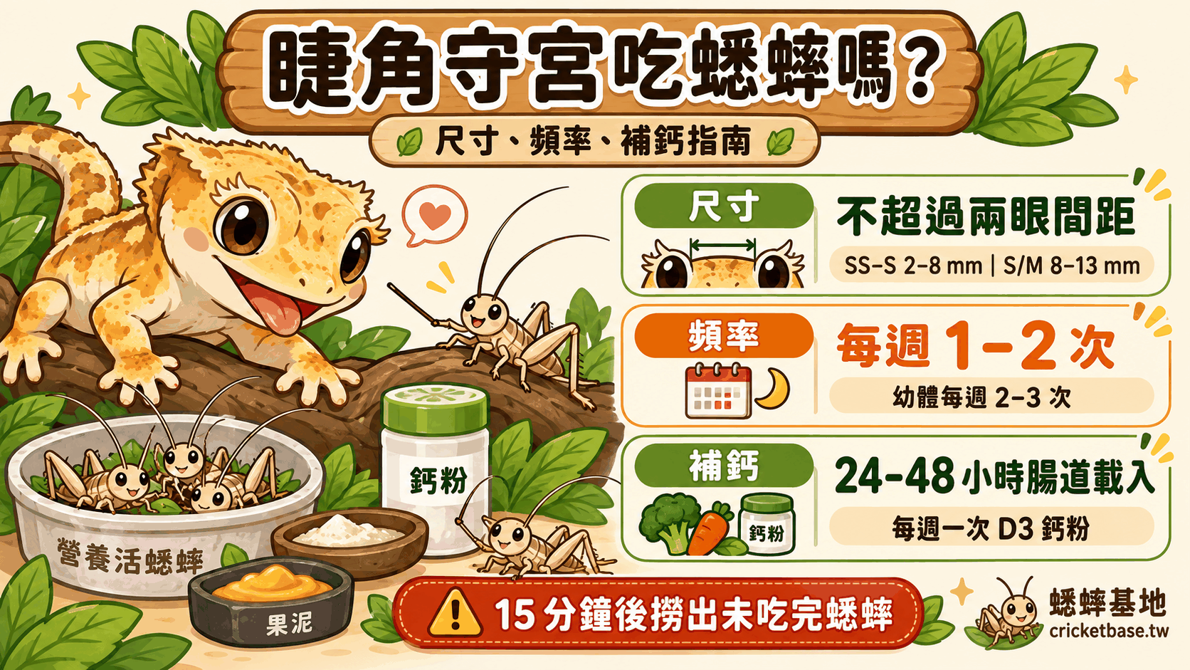 睫角守宮吃蟋蟀嗎?餵食比例、尺寸與補鈣完整指南