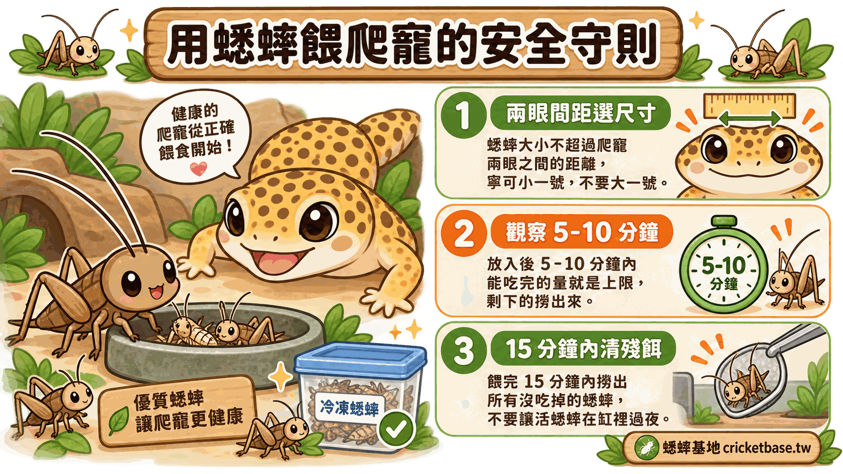 用蟋蟀餵爬寵的安全守則