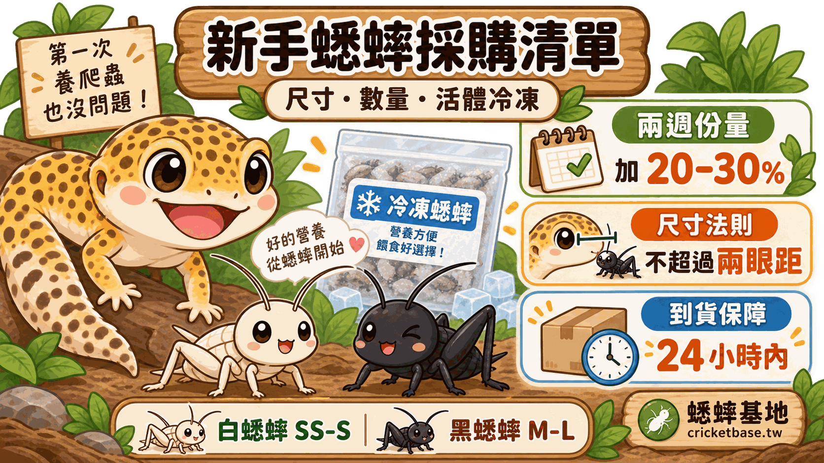 新手第一次買蟋蟀:尺寸、數量與活體冷凍怎麼挑