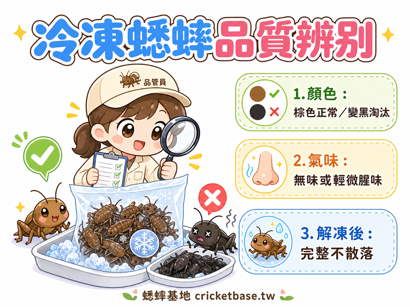 如何辨別冷凍蟋蟀的品質？選購、驗貨、保存完整指南