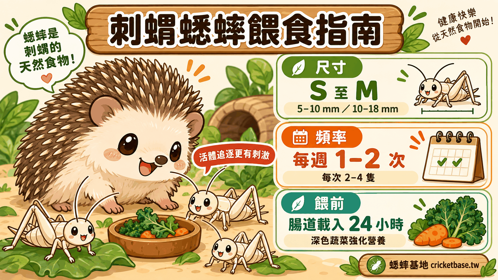 刺蝟可以吃蟋蟀嗎?完整刺蝟蟋蟀餵食指南