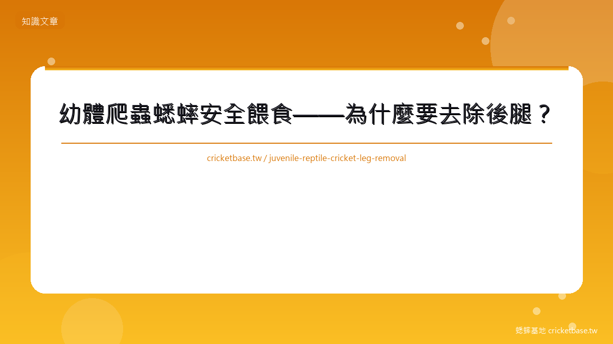 幼體爬蟲蟋蟀安全餵食——為什麼要去除後腿?