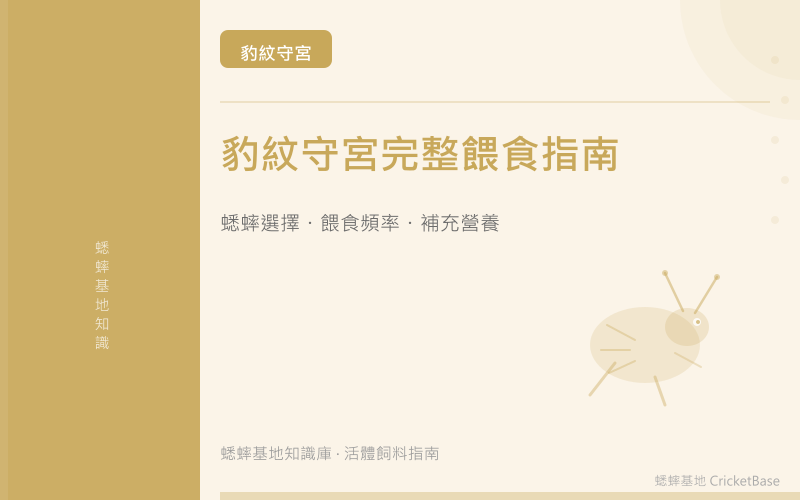 豹紋守宮吃什麼?蟋蟀尺寸、頻率、補鈣完整餵食指南
