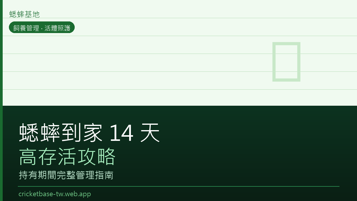 活體蟋蟀到家後 7–14 天高存活攻略：持有期間全管理